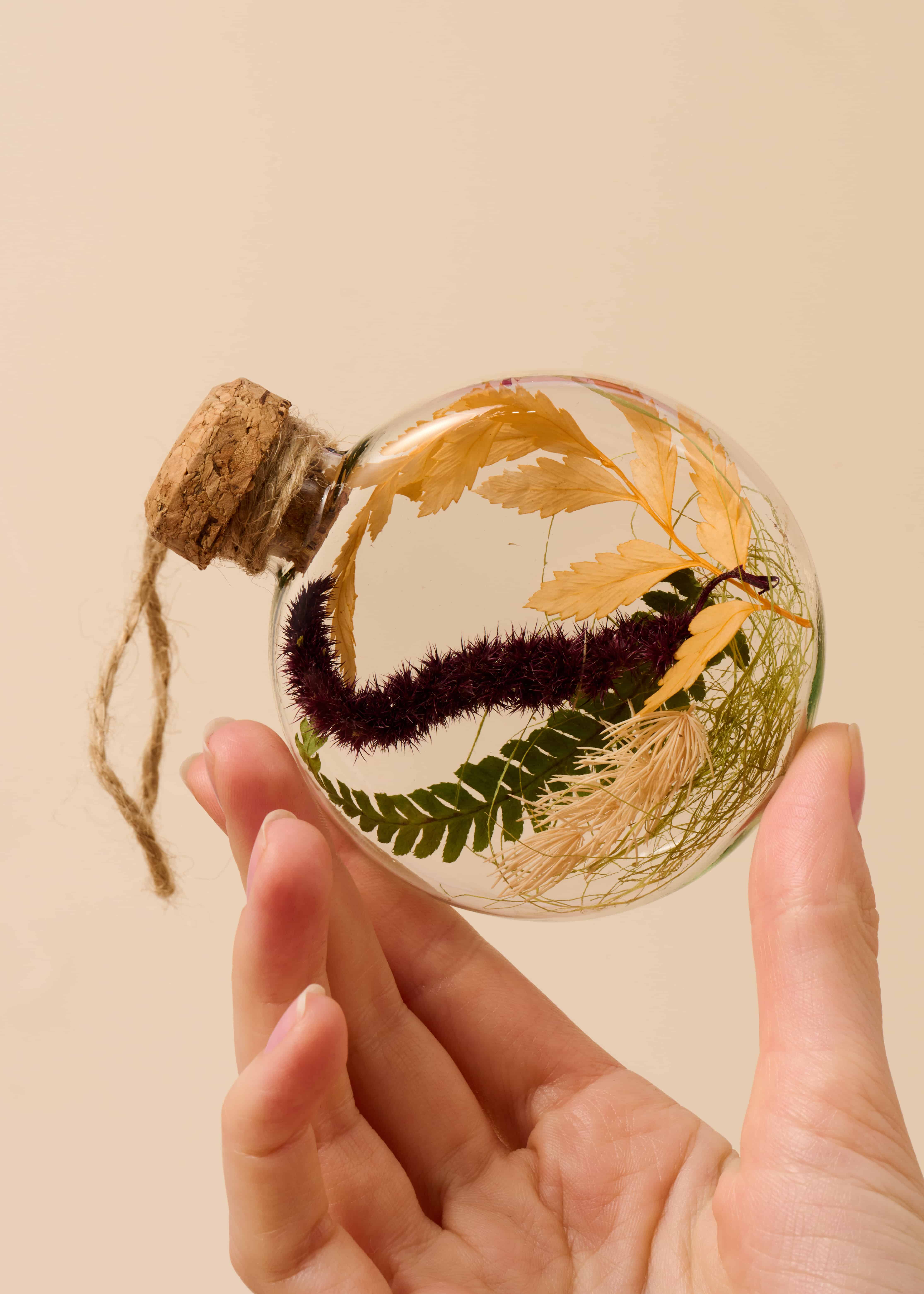 Zacharovannye Shary 1