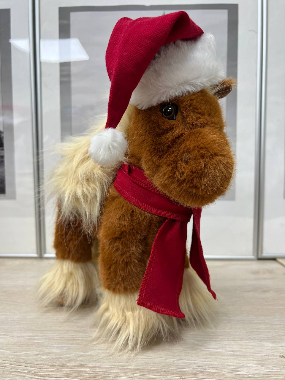 Chistova Jan 2026 3 chistova jan 2026 3