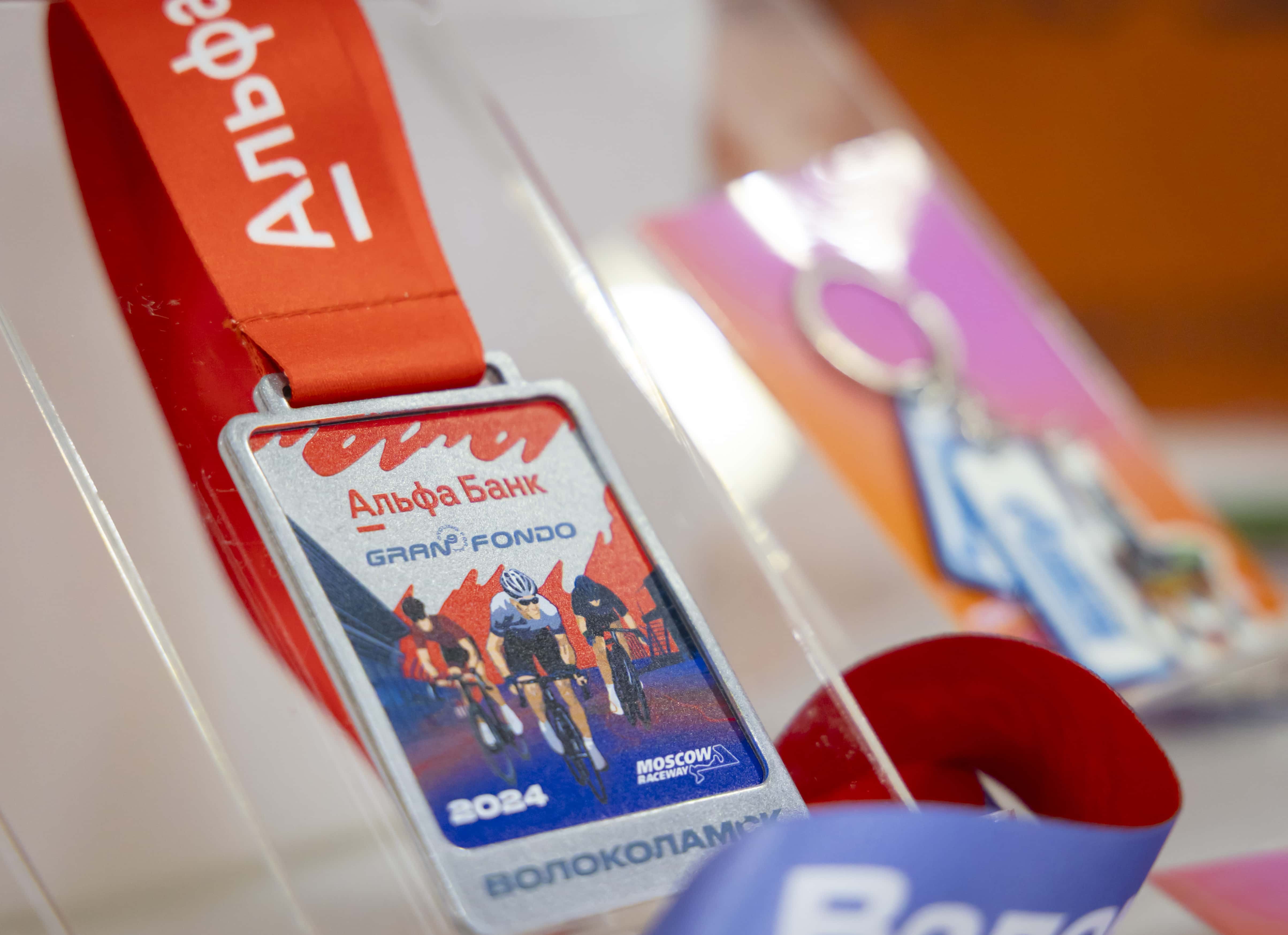 Ipsa 2025 Spt 3 ipsa 2025 spt 3