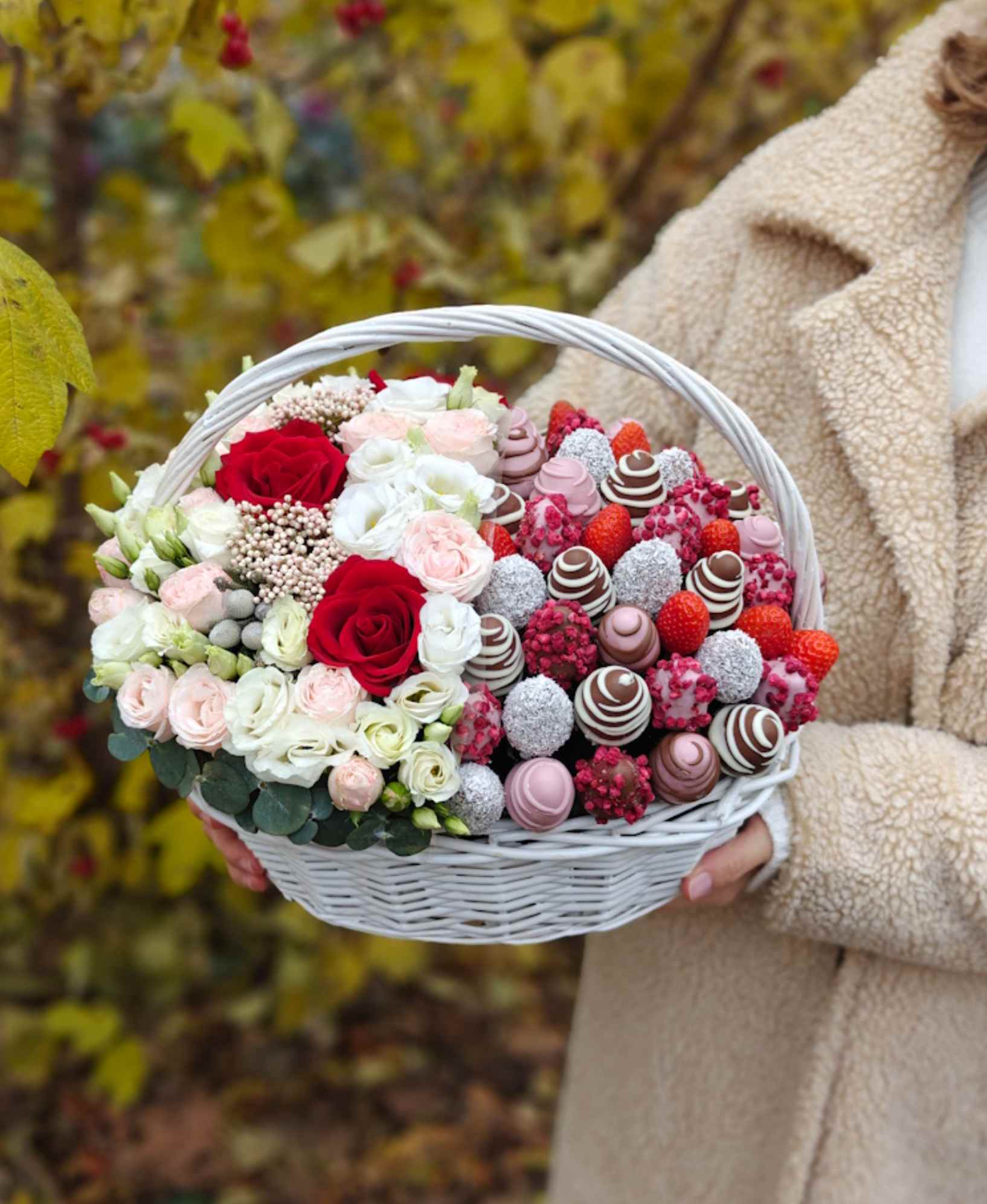 Nebo Gr54 5 nebo gr54 5