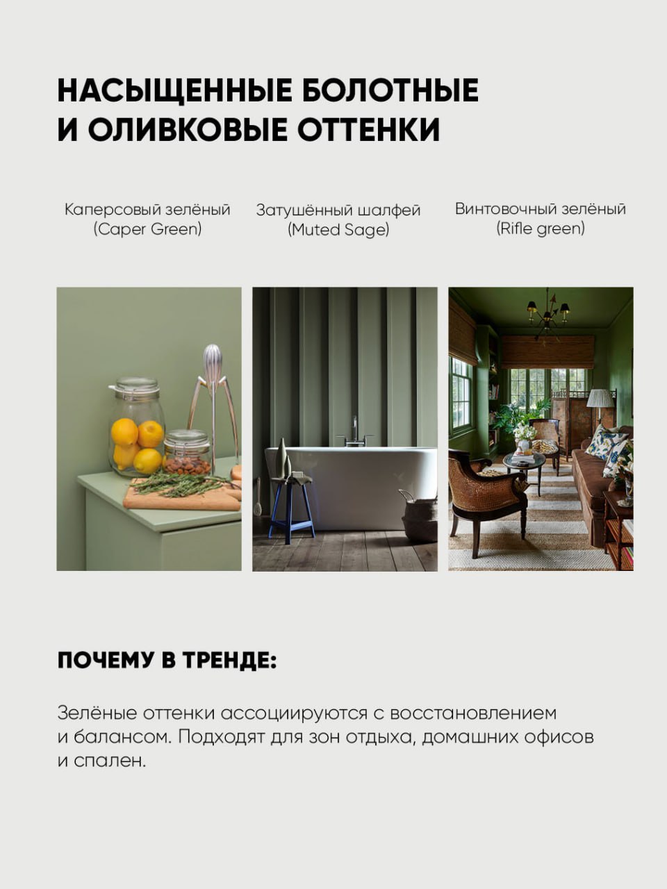 Photo 2025 12 15 14.03.28 photo 2025 12 15 14.03.28