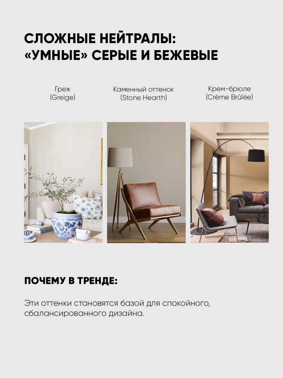 Photo 2025 12 15 14.03.35 photo 2025 12 15 14.03.35