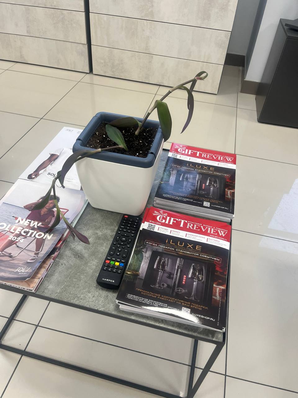 photo 2026 02 01 17.07.56