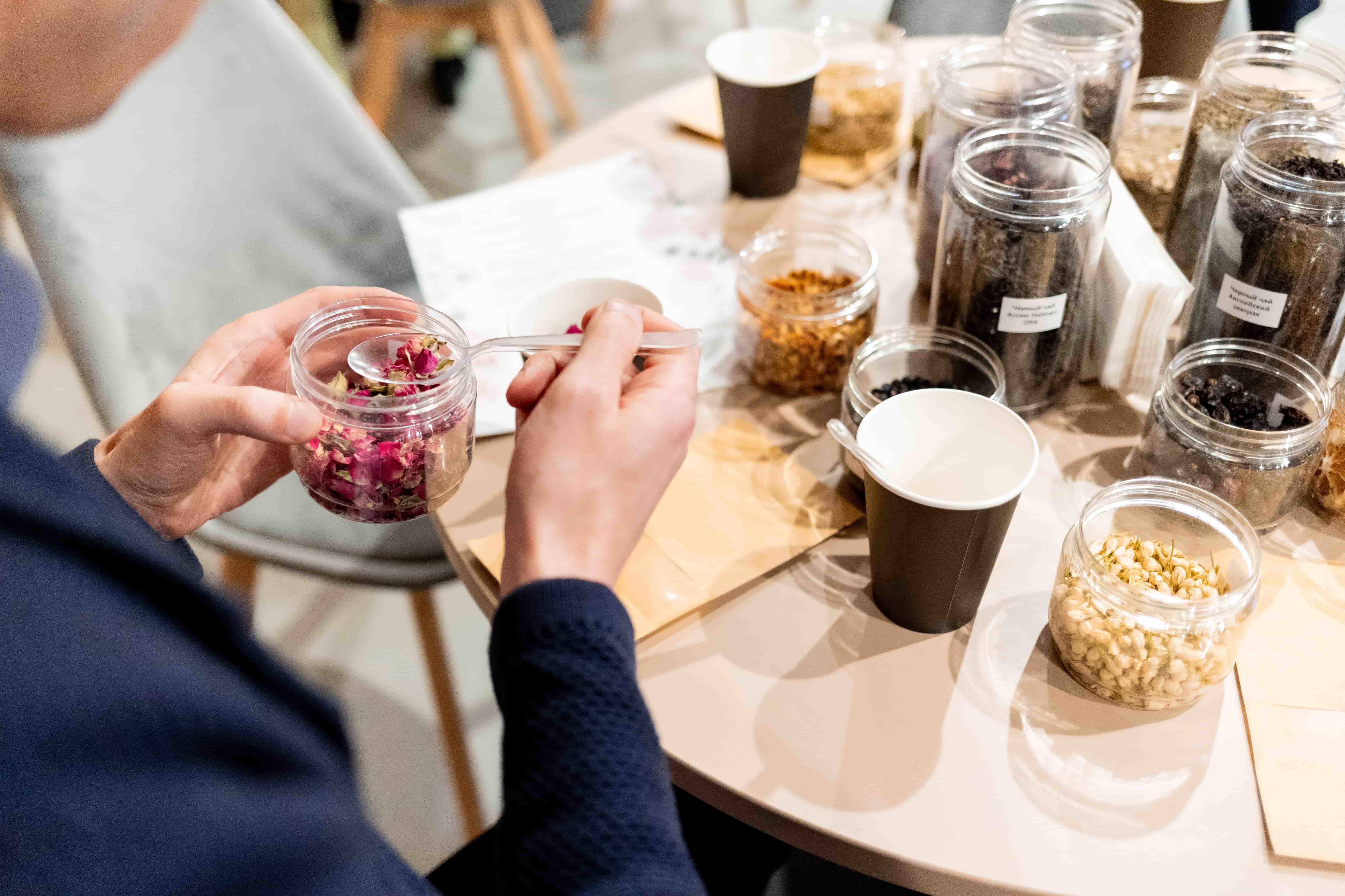 studio anna liber dec 25 4